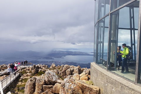 Mt. Wellington Morning Hike + Afternoon Beer & History Walk - Yamba Accommodation 12