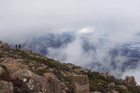 Mt. Wellington Morning Hike + Afternoon Beer & History Walk - Yamba Accommodation 18