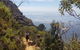 Mt. Wellington Morning Hike + Afternoon Beer & History Walk - thumb 1