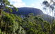 Mt. Wellington Morning Hike + Afternoon Beer & History Walk - thumb 4
