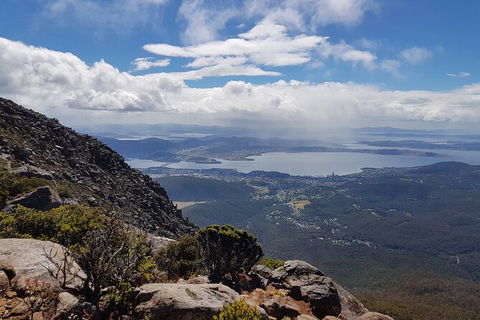 Mt. Wellington Morning Hike + Afternoon Beer & History Walk - Yamba Accommodation 5