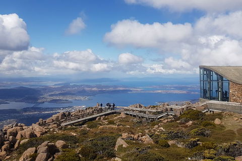 Mt. Wellington Morning Hike + Afternoon Beer & History Walk - Yamba Accommodation 3