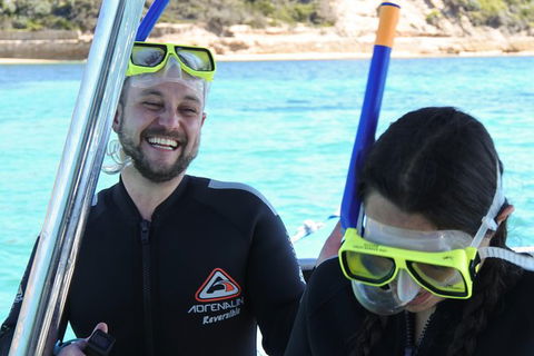 Dolphin And Seal Swim Reef Snorkel Boat Tour Mornington Peninsula - Yamba Accommodation 17