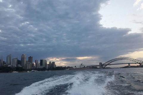 Sydney&Melbourne City Lovers- 2 Day Combo Private Tour! - Yamba Accommodation 1