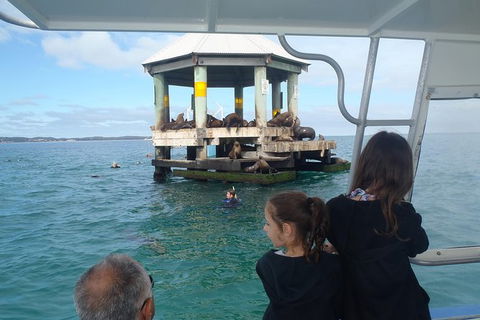 Sailing Cruise With Seals - Yamba Accommodation 0