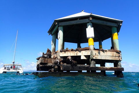Sailing Cruise With Seals - Yamba Accommodation 1