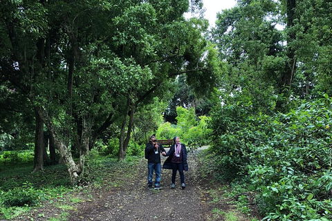 Alices Journeys Guided Walking Tours Of Daylesford - Yamba Accommodation 5