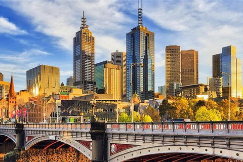Departure Private Transfers: Melbourne To Melbourne Airport MEL In Business Car - Yamba Accommodation 2