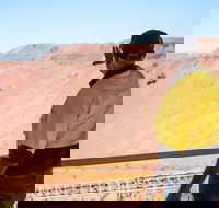Purnululu Scenic with Argyle Diamond Mine Ground Tour - Yamba Accommodation