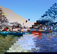 Rottnest Glass Bottom Kayaking Tour - Yamba Accommodation