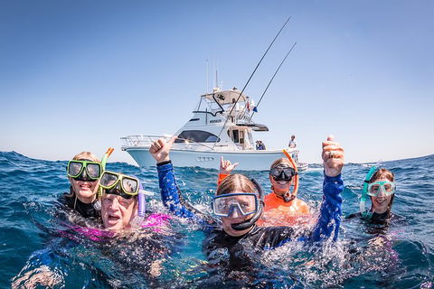 Life On Ningaloo Swimming Tour In Exmouth - Yamba Accommodation 4