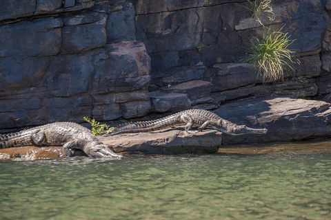 Ord River Discoverer With Sunset - Yamba Accommodation 6