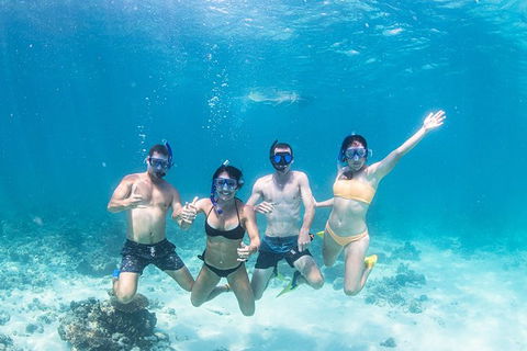 Full-Day Whale Sharks Swimming Experience On Ningaloo Reef - Yamba Accommodation 5