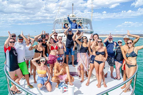 Full-Day Whale Sharks Swimming Experience On Ningaloo Reef - Yamba Accommodation 1