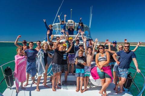 Full-Day Whale Sharks Swimming Experience On Ningaloo Reef - Yamba Accommodation 15