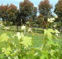Barwon Ridge Wines - Yamba Accommodation