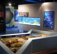 Marine and Freshwater Discovery Centre - Yamba Accommodation