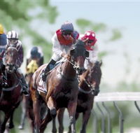 Colac Turf Club - Yamba Accommodation