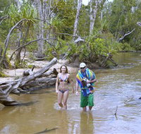 Tjuwaliyn / Douglas Hot Springs Park - Yamba Accommodation
