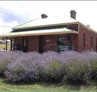 Lavender House in Railway Park - Yamba Accommodation