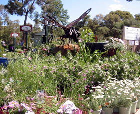 Zanthorrea Nursery - Yamba Accommodation 0