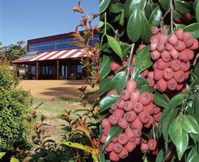 Bushfood Factory And Cafe - Yamba Accommodation 0