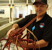 Lobster Shack - Yamba Accommodation