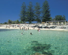 Rottnest Island WA Yamba Accommodation
