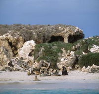 Jurien Bay Marine Park - Yamba Accommodation