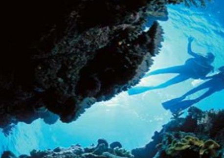 Deep Sea Divers Den - Yamba Accommodation 0