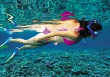 Deep Sea Divers Den - Yamba Accommodation 1