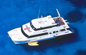 Deep Sea Divers Den - Yamba Accommodation 3