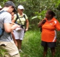 Ingan Tours - Spirit of the Rainforest Tour - Yamba Accommodation
