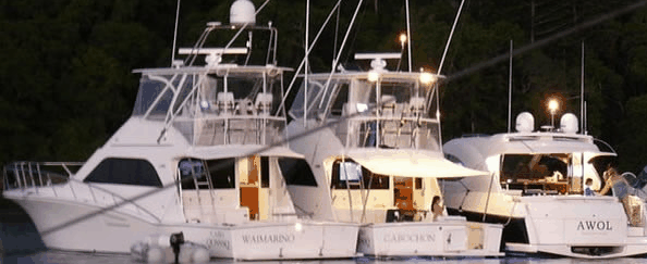 Abel Point Marina - Yamba Accommodation 3