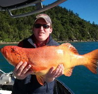 Gone Fishing by Coral Sea Fishing Charters Airlie Beach - Yamba Accommodation