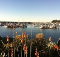 Mantaray Charters - Yamba Accommodation