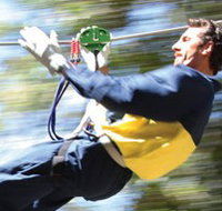 Adventure Parc - Yamba Accommodation