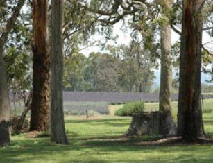 Undercliffe QLD Yamba Accommodation