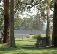 Aloomba Lavender - Yamba Accommodation