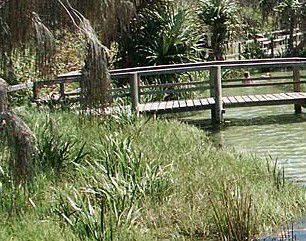 Australia Fraser Island Escape - Yamba Accommodation 1