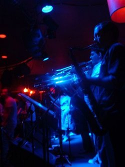 The Night Cat - Yamba Accommodation 2