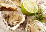 The Station Hotel - Yamba Accommodation 2