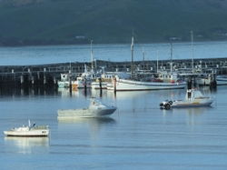 Apollo Bay VIC Yamba Accommodation