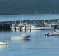 The Apollo Bay Hotel - Yamba Accommodation