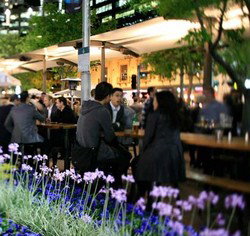 Quay Bar - Yamba Accommodation 0