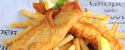The Groper & His Wife - Yamba Accommodation 3