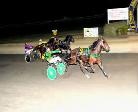 Bathurst Harness Racing Club - Yamba Accommodation 0