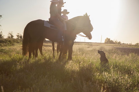 Balonne Cutting Horse Futurity - Yamba Accommodation 0