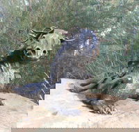 Bathurst Arts Trail - Yamba Accommodation