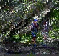 Elephant Trail Race - Yamba Accommodation
